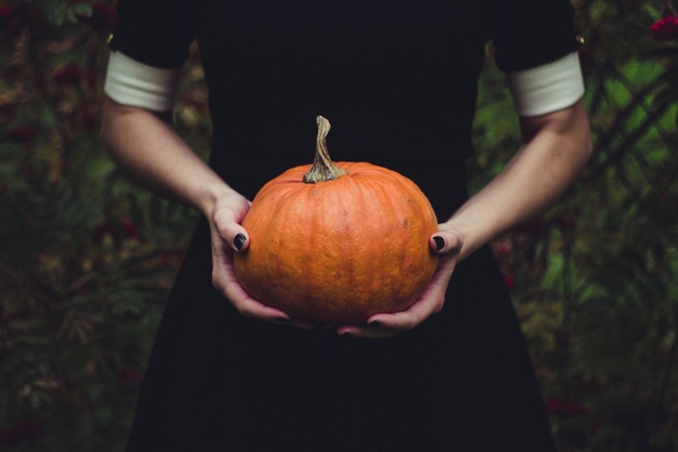 10 Pumpkins That Will Remind You That Fall Is Coming - picture 11
