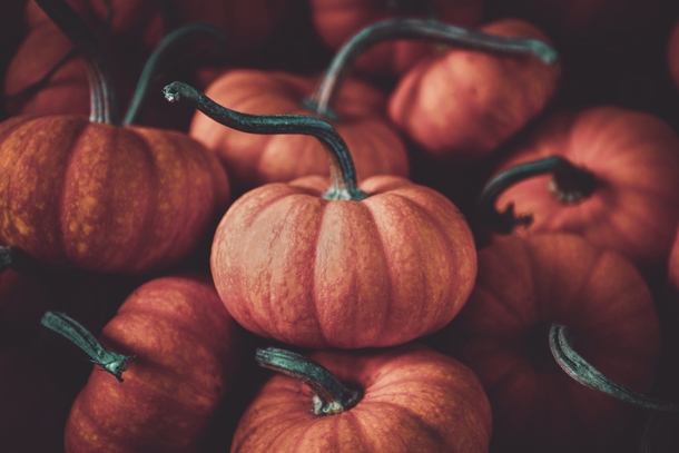 10 Pumpkins That Will Remind You That Fall Is Coming - picture 2
