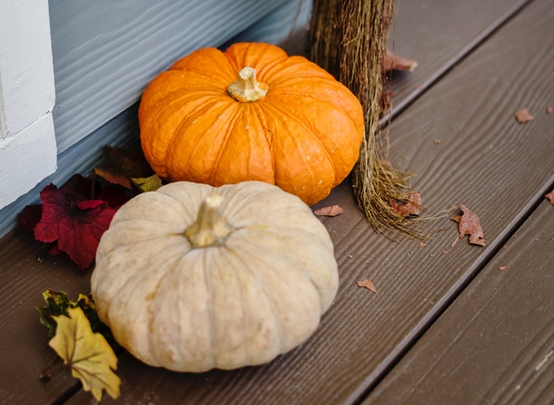 10 Pumpkins That Will Remind You That Fall Is Coming - picture 3