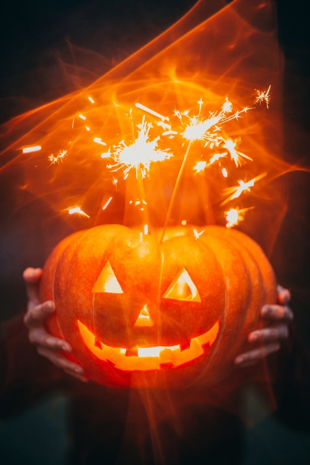 10 Pumpkins That Will Remind You That Fall Is Coming - picture 6