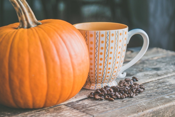 10 Pumpkins That Will Remind You That Fall Is Coming - picture 7