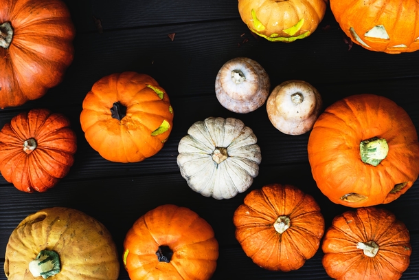 10 Pumpkins That Will Remind You That Fall Is Coming - picture 9
