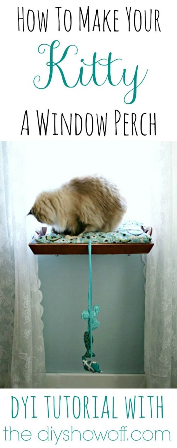 10 Purrfect Projects For The Cat Lovers Of The World - picture 10
