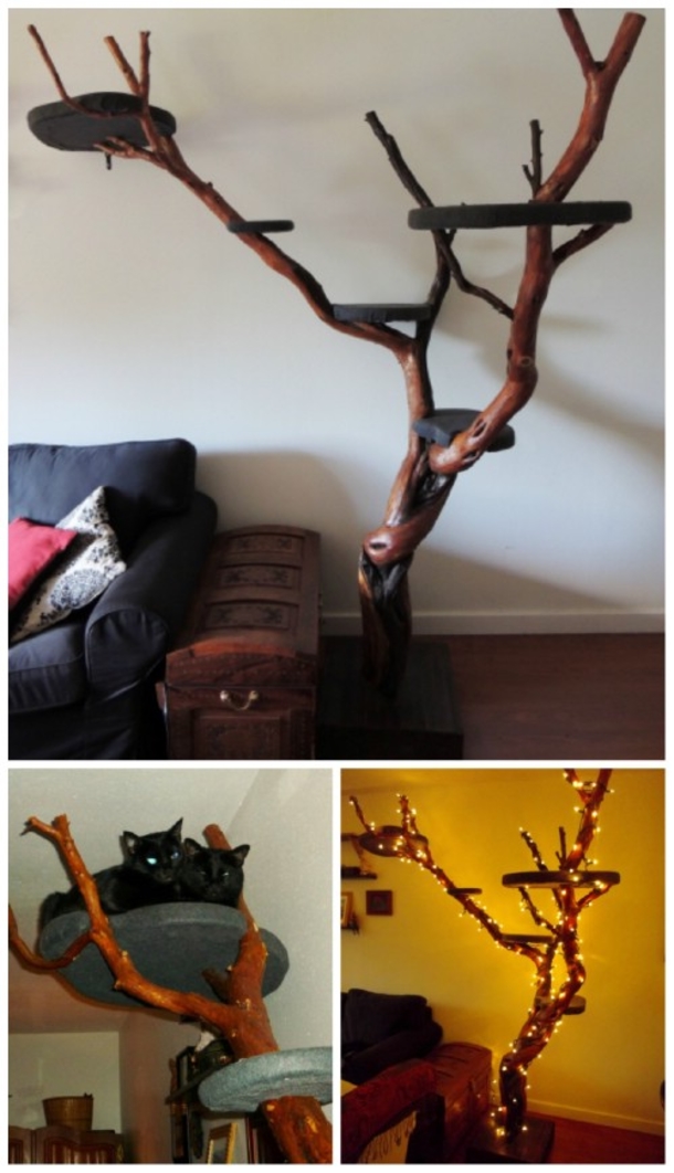 10 Purrfect Projects For The Cat Lovers Of The World - picture 2