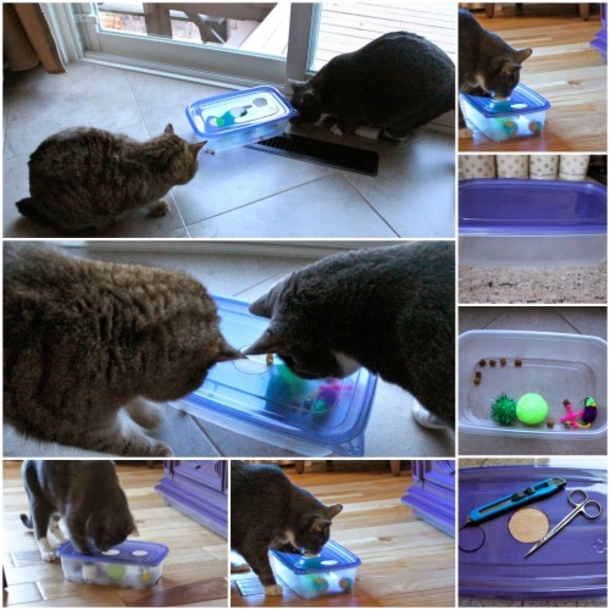 10 Purrfect Projects For The Cat Lovers Of The World - picture 4