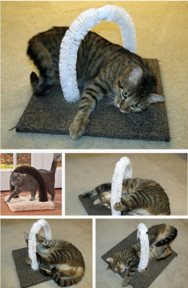 10 Purrfect Projects For The Cat Lovers Of The World - picture 6