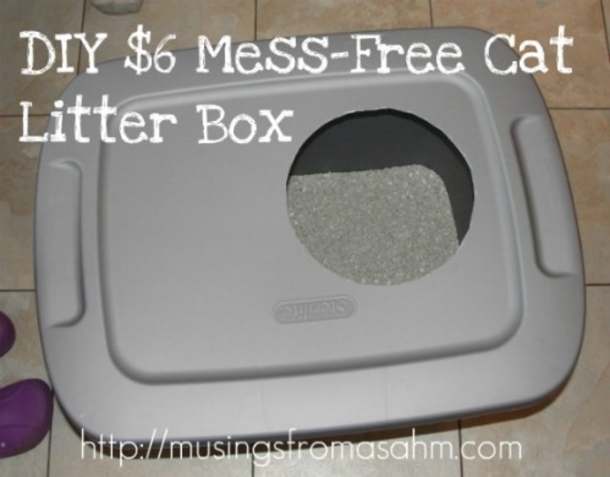 10 Purrfect Projects For The Cat Lovers Of The World - picture 7