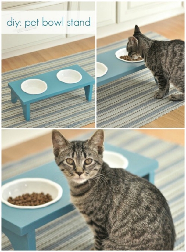 10 Purrfect Projects For The Cat Lovers Of The World - picture 8