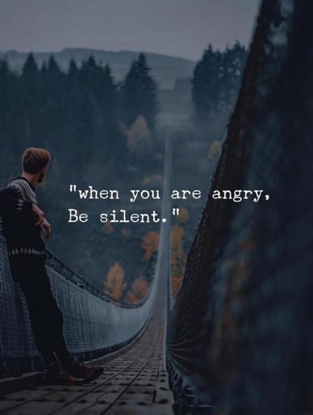 10 Quotes About Being Angry And Overcoming Anger - picture 2