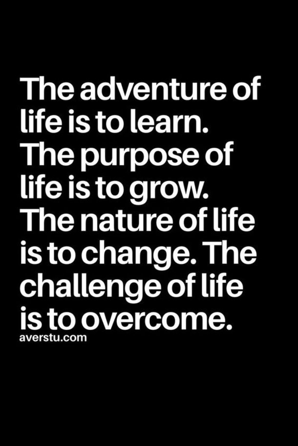 10 Quotes About Overcoming Challenges In Life - picture 8