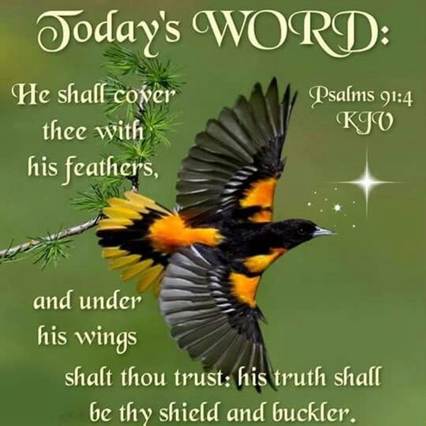 10 Quotes That Express The Word Of God - picture 2
