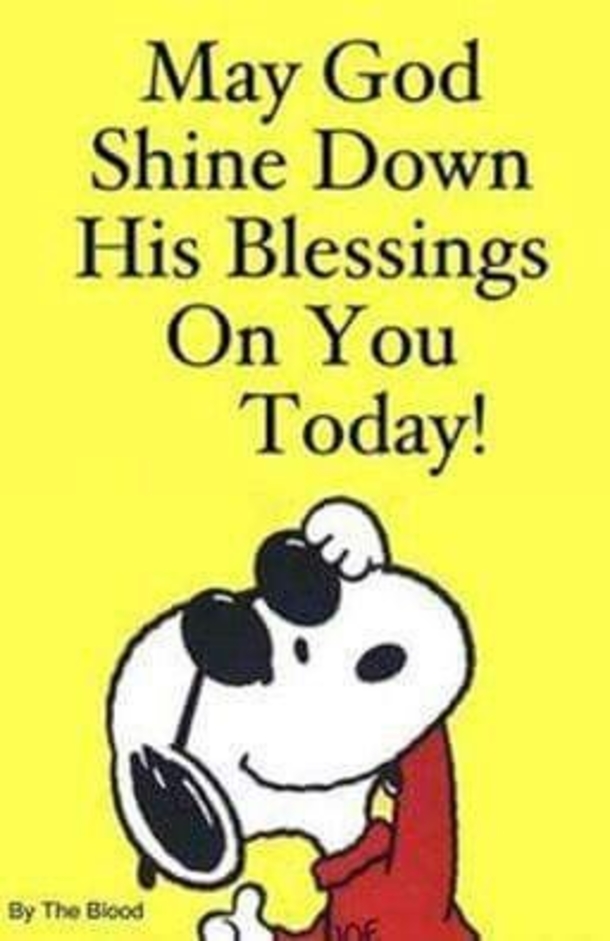 10 Quotes To Express How Blessed Life Is - picture 2