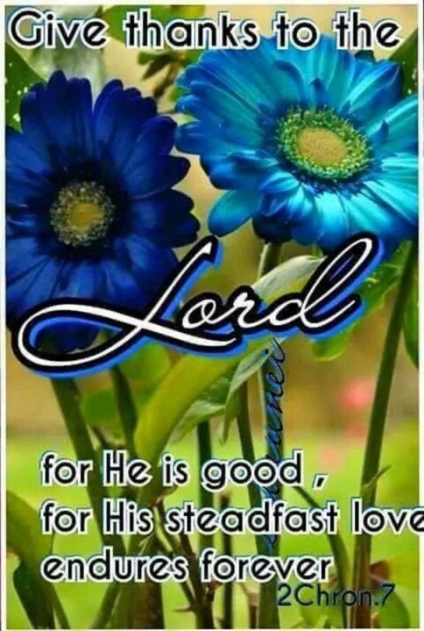 10 Quotes To Express How Blessed Life Is - picture 5