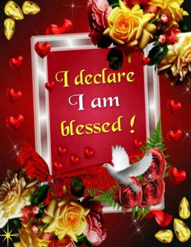 10 Quotes To Express How Blessed Life Is - picture 7