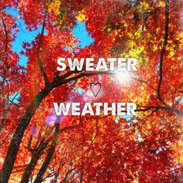 10 Quotes To Get You Ready For The Fall Season - picture 10