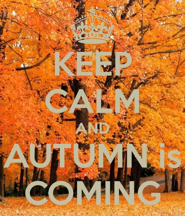 10 Quotes To Get You Ready For The Fall Season - picture 3
