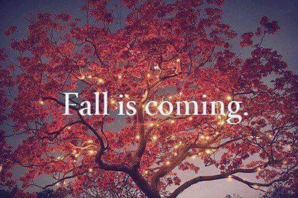 10 Quotes To Get You Ready For The Fall Season - picture 5