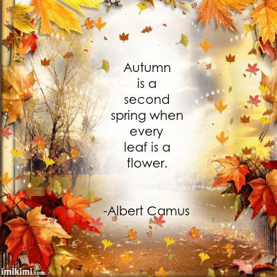 10 Quotes To Get You Ready For The Fall Season - picture 6