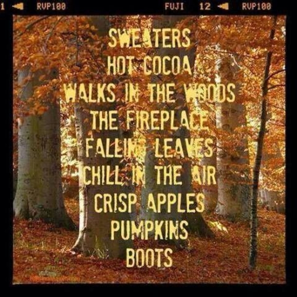 10 Quotes To Get You Ready For The Fall Season - picture 9