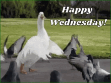10 Quotes To Make You Happy That It's Wednesday - picture 10