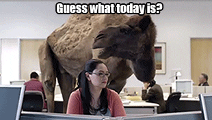 10 Quotes To Make You Happy That It's Wednesday - picture 3