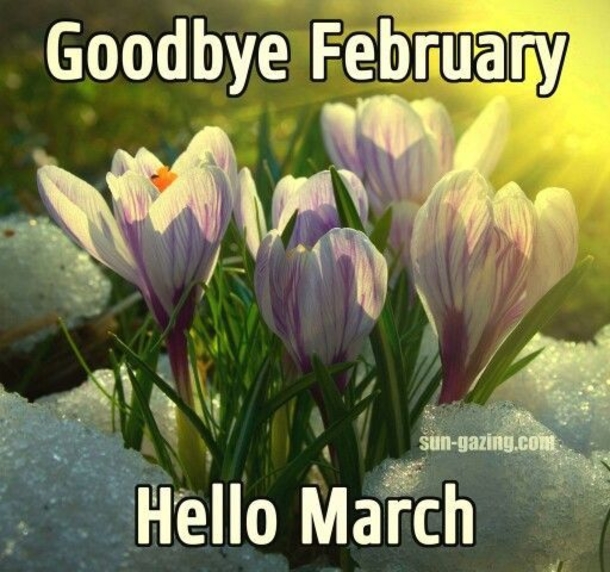 10 Quotes To Welcome The Month Of March - picture 9
