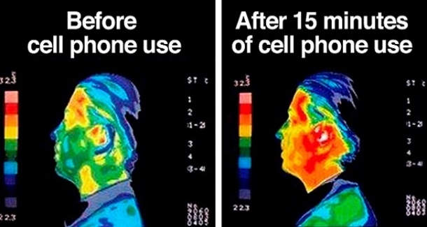 10 Radiation-Emitting Cell Phone Brands You Need to Throw Out Immediately - picture 2