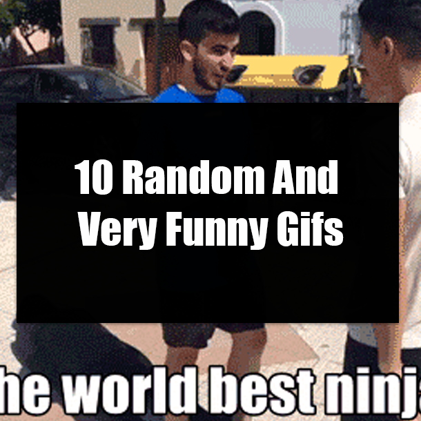 10 Random And Very Funny Gifs