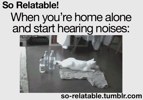 10 Random And Very Funny Gifs - picture 3