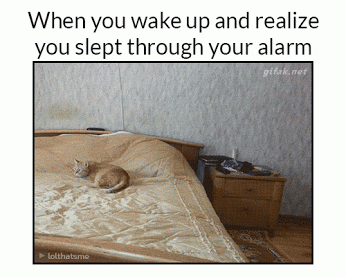 10 Random And Very Funny Gifs - picture 6