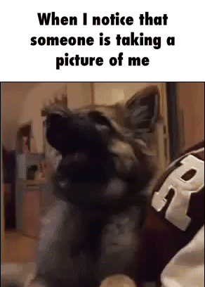10 Random And Very Funny Gifs - picture 8