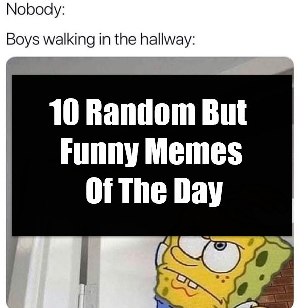 10 Random But Funny Memes Of The Day