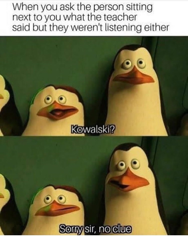 10 Random But Funny Memes Of The Day - picture 3