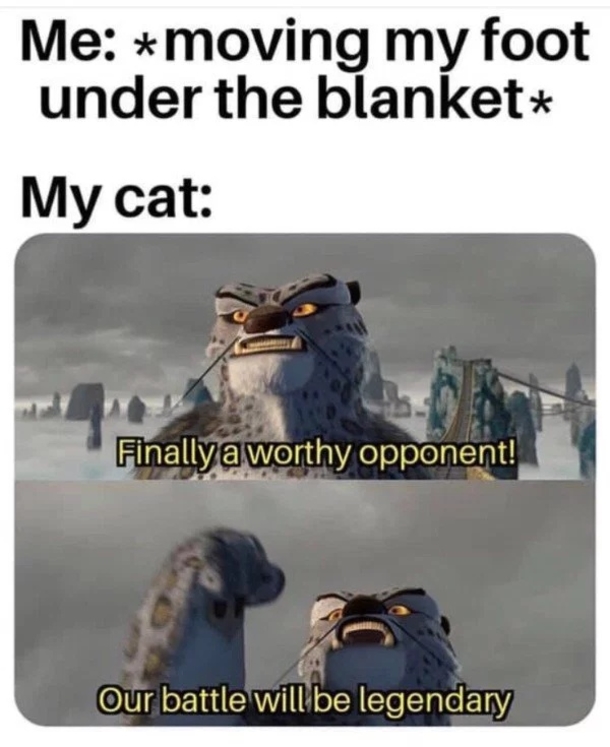 10 Random Memes That Are Just What You Need To See Today - picture 4