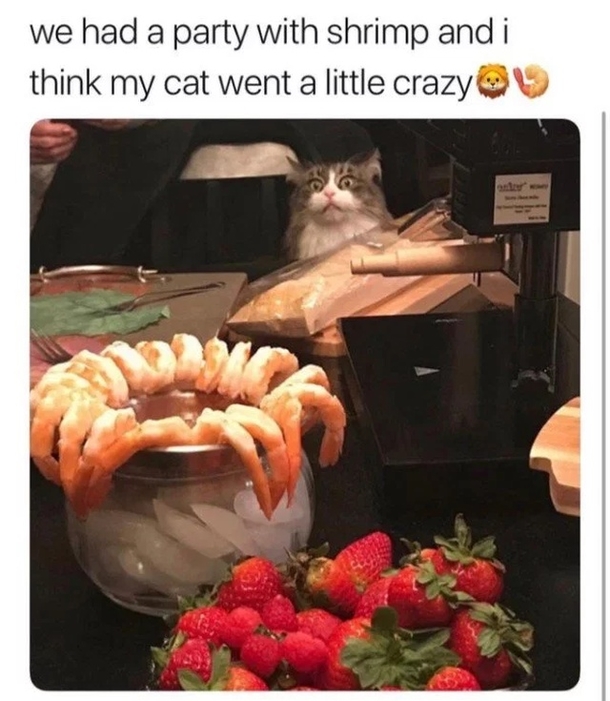 10 Random Memes That Are Just What You Need To See Today - picture 8