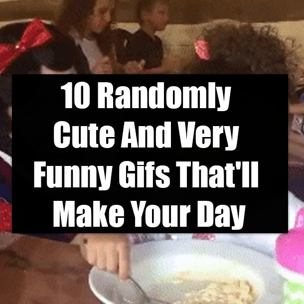 10 Randomly Cute And Very Funny Gifs That'll Make Your Day