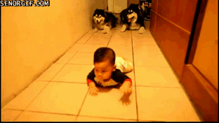 10 Randomly Cute And Very Funny Gifs That'll Make Your Day - picture 10