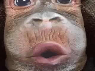 10 Randomly Cute And Very Funny Gifs That'll Make Your Day - picture 7