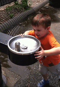 10 Randomly Cute And Very Funny Gifs That'll Make Your Day - picture 8