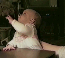 10 Randomly Cute And Very Funny Gifs That'll Make Your Day - picture 9
