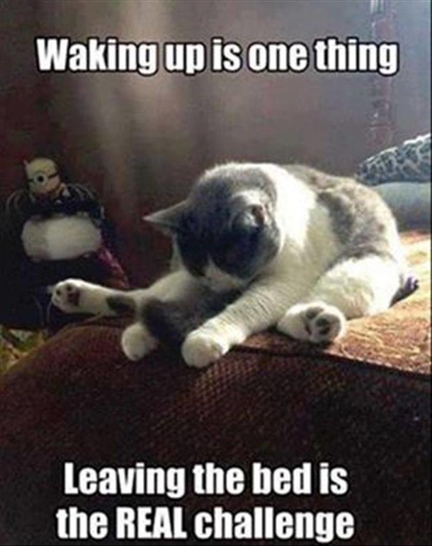 10 Randomly Funny Memes To Start Your Day Dose Of Laughs - picture 6