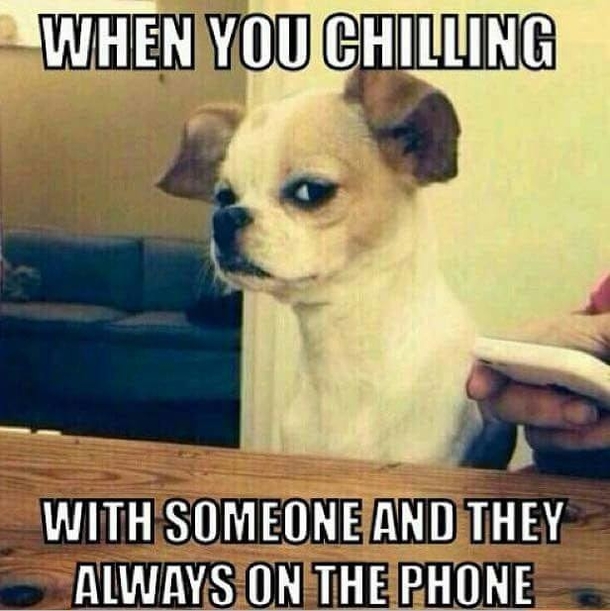 10 Randomly Funny Memes To Start Your Day Dose Of Laughs - picture 7