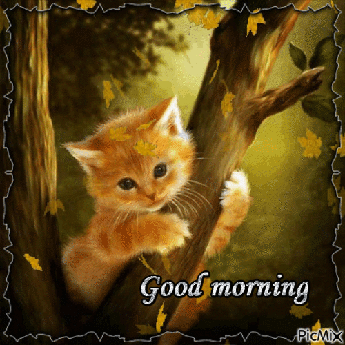 10 Really Awesome Good Morning Gifs And Quotes - picture 9