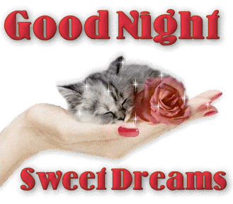 10 Really Beautiful Good Night Animated Quotes To Share - picture 7