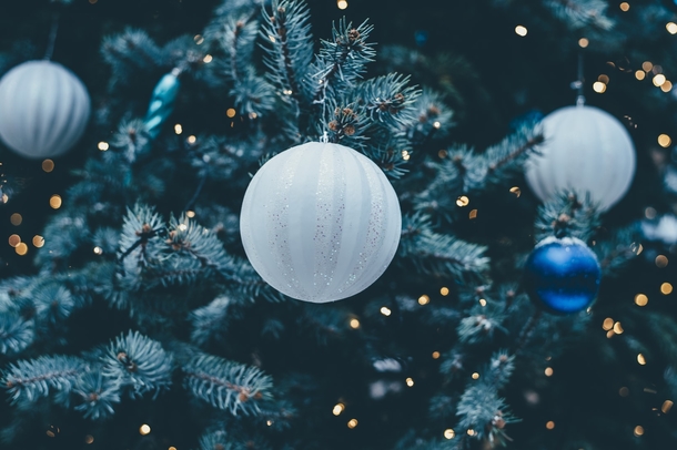 10 Really Decorative Christmas / Holiday Photography Images - picture 4
