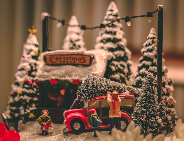 10 Really Decorative Christmas / Holiday Photography Images - picture 9
