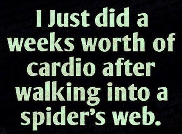 10 Really Funny Halloween Quotes & Pictures - picture 7