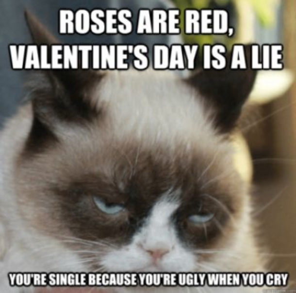 10 Really Funny Valentines Day Memes - picture 5
