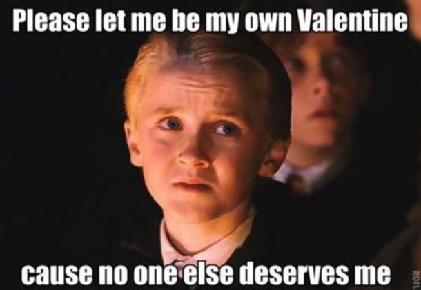 10 Really Funny Valentines Day Memes - picture 6