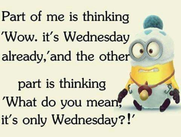 10 Really Funny Wednesday Memes To Push Through The Day - picture 11